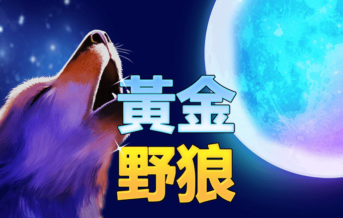 49图库资料网站
